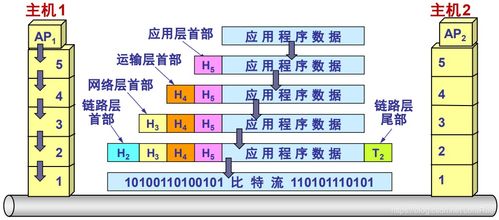 计算机网络体系结构 信息技术咨询服务的核心技术支柱